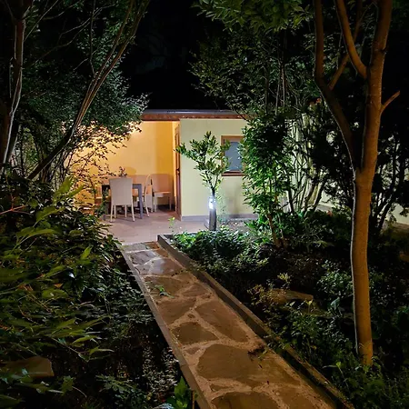 Cozy Place 公寓 布尔加斯